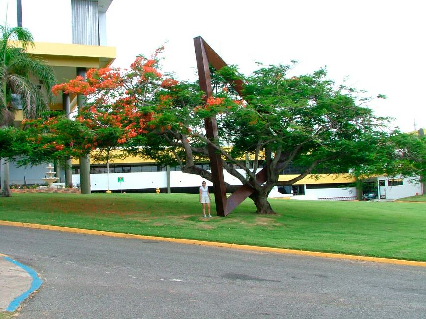 Mauro Staccioli, Arecibo, 2004, foto 2